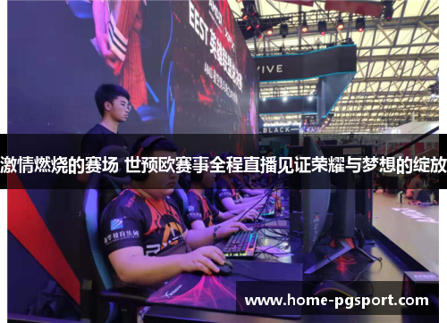 激情燃烧的赛场 世预欧赛事全程直播见证荣耀与梦想的绽放