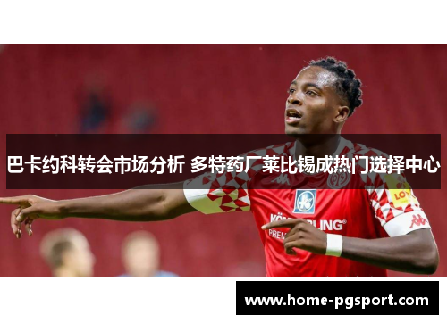 巴卡约科转会市场分析 多特药厂莱比锡成热门选择中心