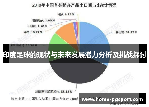 印度足球的现状与未来发展潜力分析及挑战探讨