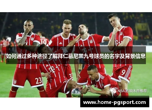 如何通过多种途径了解拜仁慕尼黑九号球员的名字及背景信息