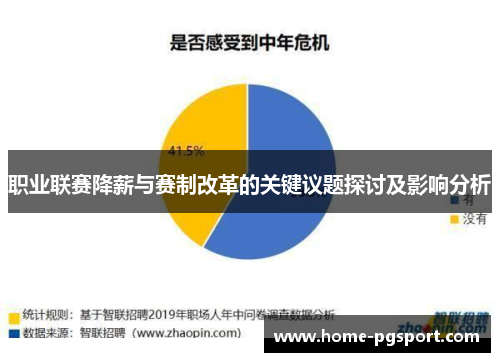 职业联赛降薪与赛制改革的关键议题探讨及影响分析