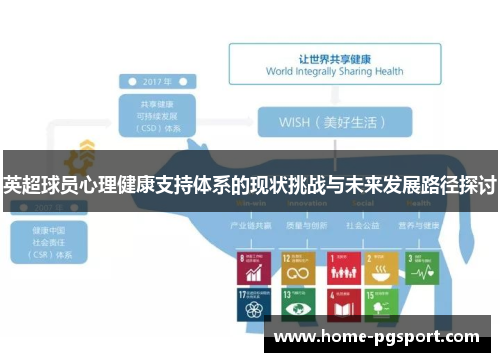 英超球员心理健康支持体系的现状挑战与未来发展路径探讨