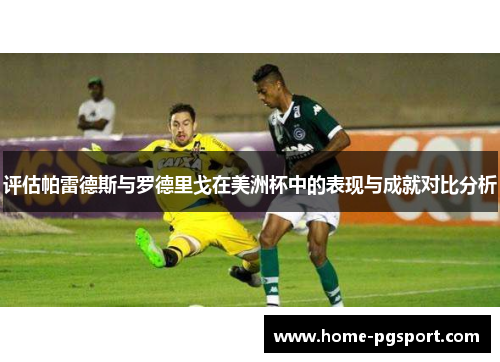 评估帕雷德斯与罗德里戈在美洲杯中的表现与成就对比分析 评估帕雷德斯与罗德里戈在美洲杯中的表现与成就对比分析
