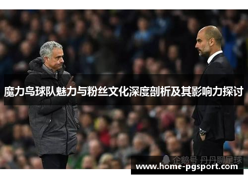 魔力鸟球队魅力与粉丝文化深度剖析及其影响力探讨
