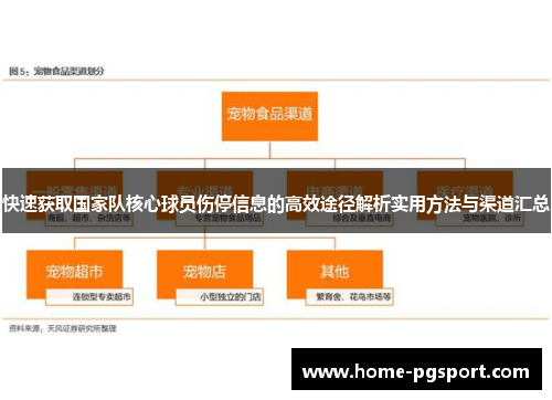 快速获取国家队核心球员伤停信息的高效途径解析实用方法与渠道汇总
