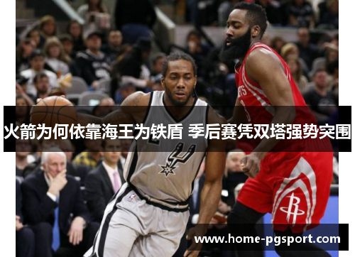 火箭为何依靠海王为铁盾 季后赛凭双塔强势突围